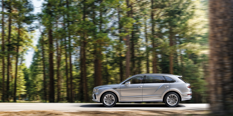 Bentley Kuwait Bentley Bentayga Extended Wheelbase SUV in Moonbeam paint driving dynamically on a forest road